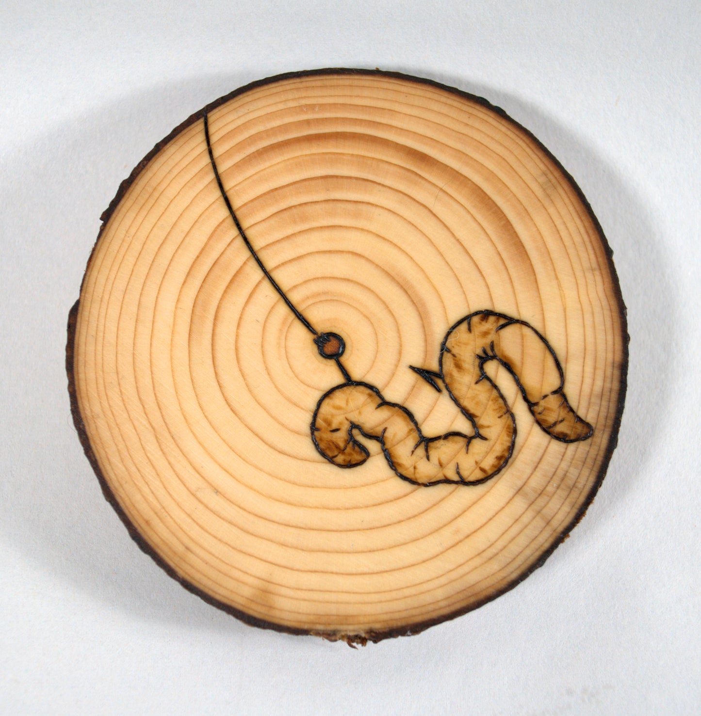 Channel Catfish Coaster Set