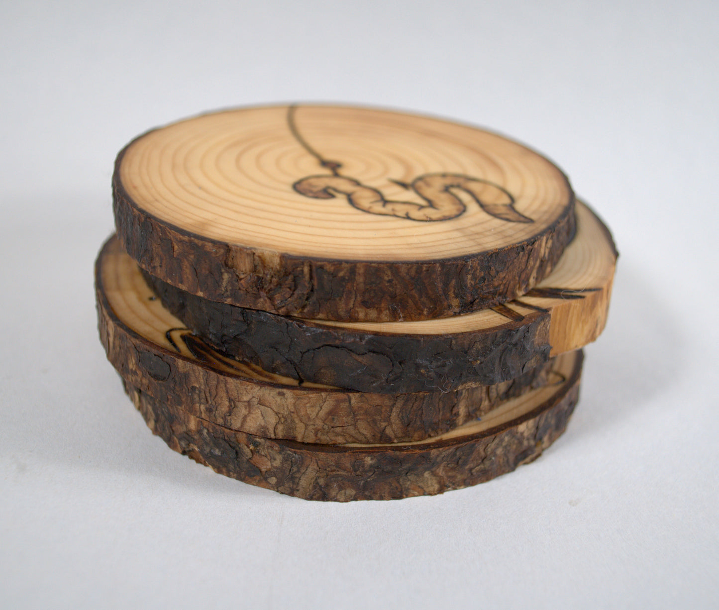 Channel Catfish Coaster Set