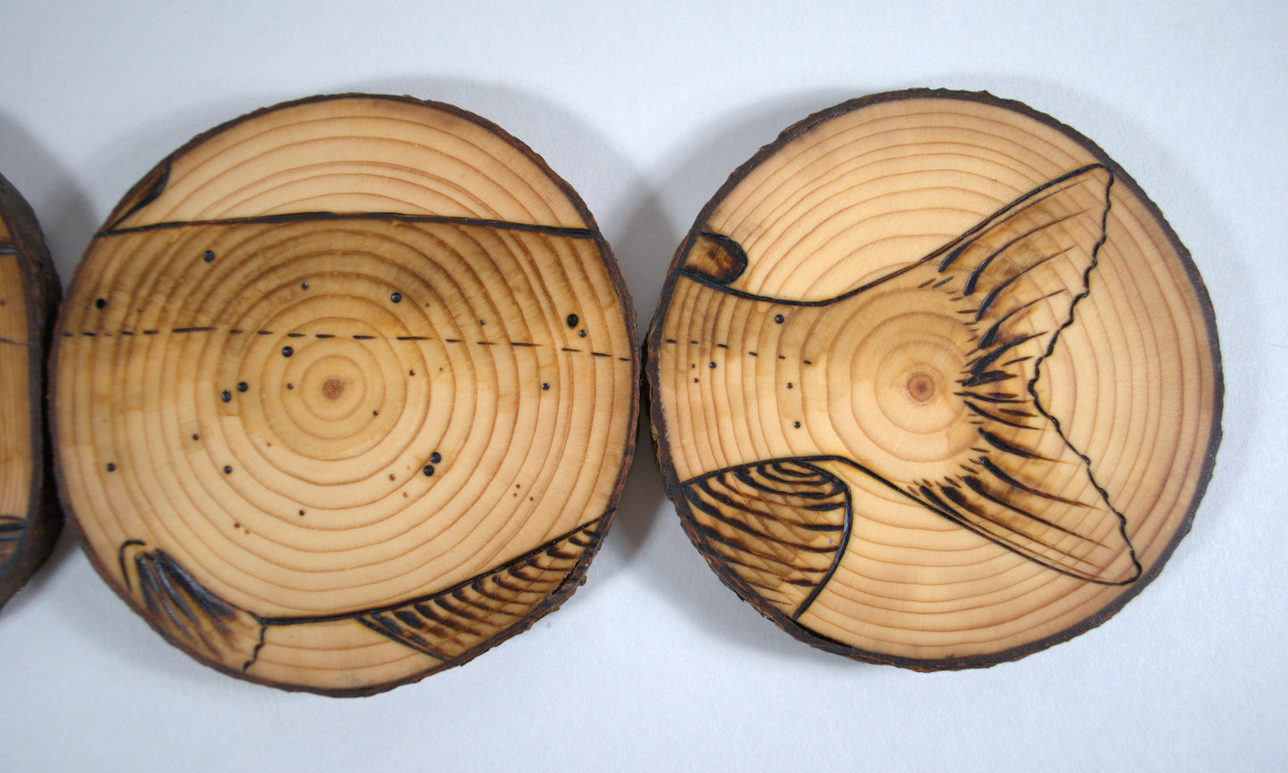 Channel Catfish Coaster Set