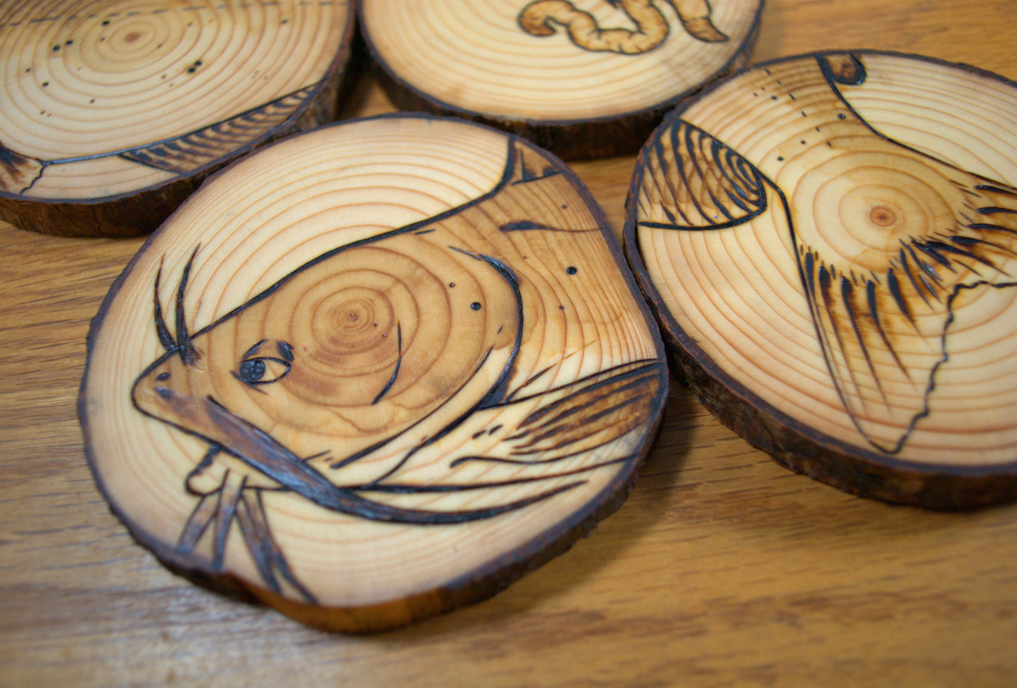 Channel Catfish Coaster Set