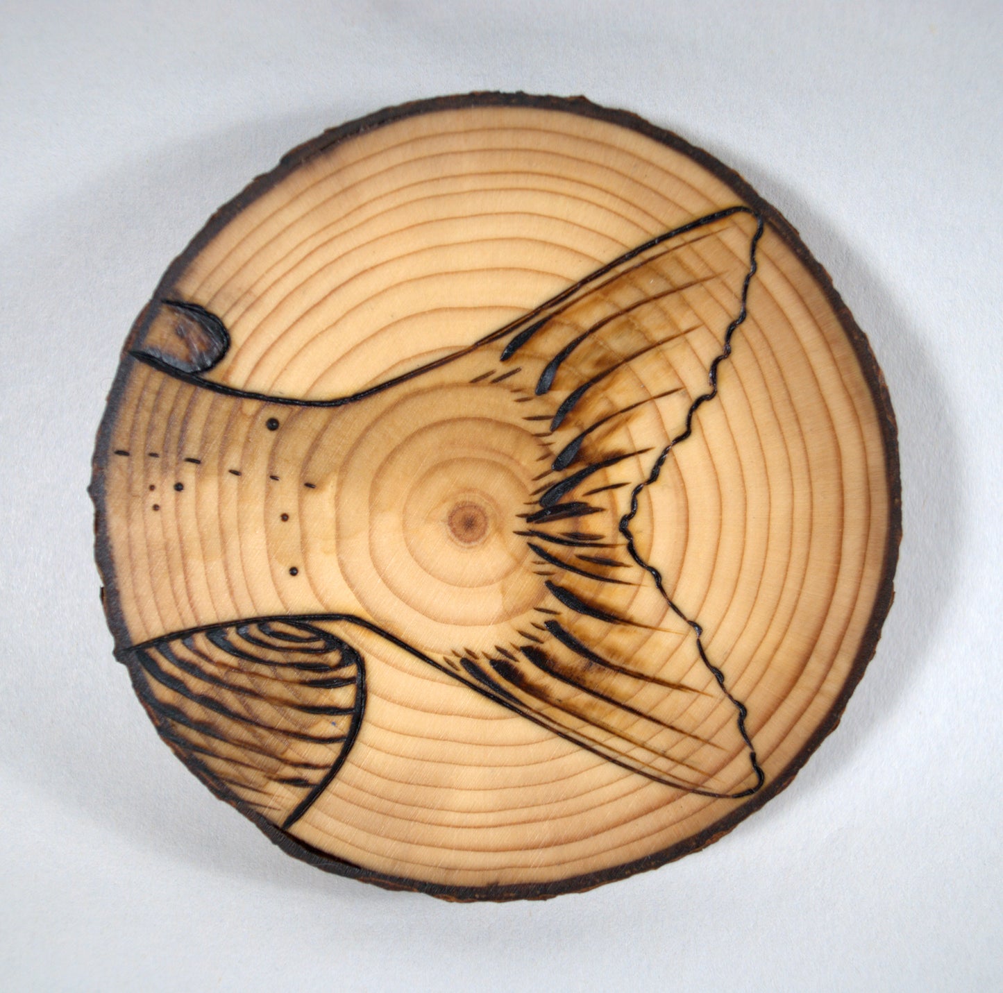 Channel Catfish Coaster Set