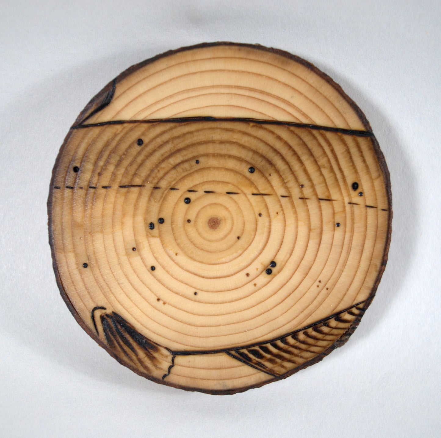 Channel Catfish Coaster Set