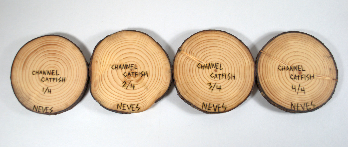 Channel Catfish Coaster Set
