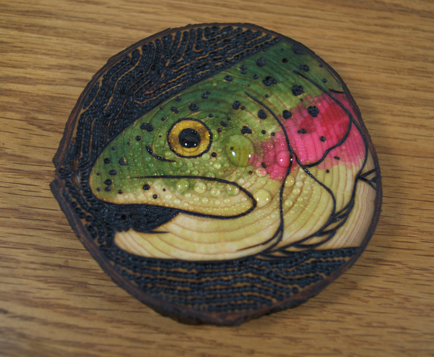 Rainbow Trout Coaster Set/Wall Art