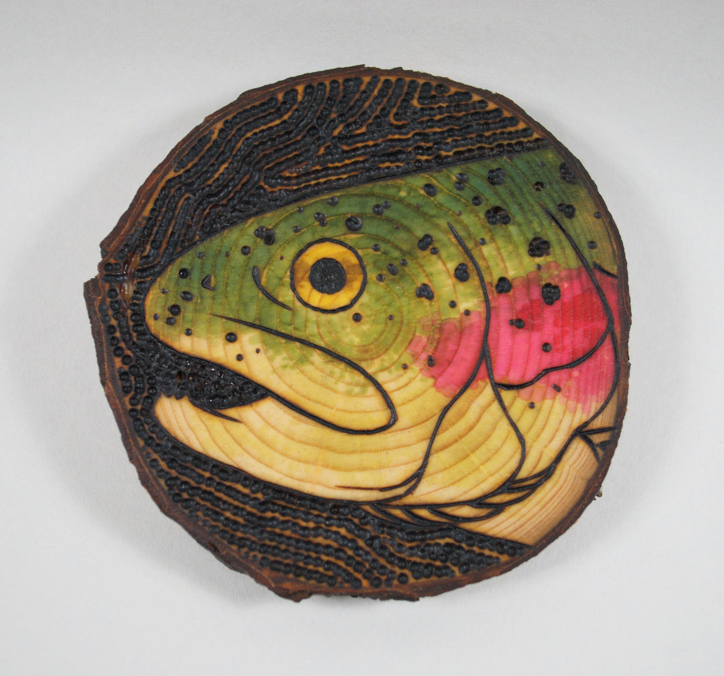 Rainbow Trout Coaster Set/Wall Art